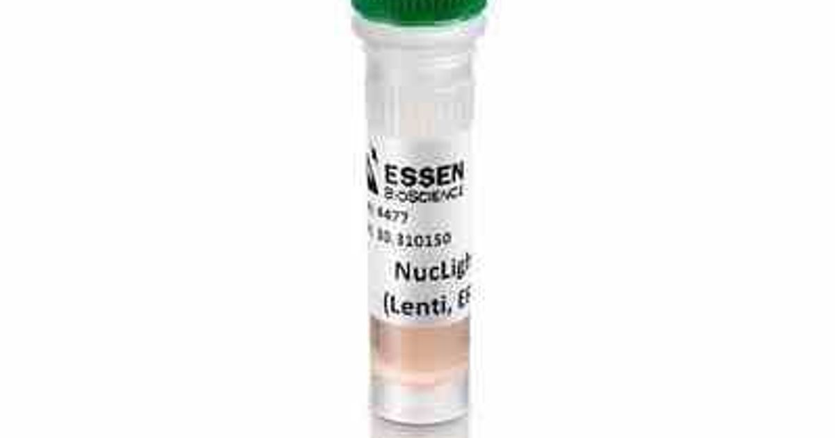 Buy Incucyte® Cytotox Green Reagent for counting dead cells Read Reviews