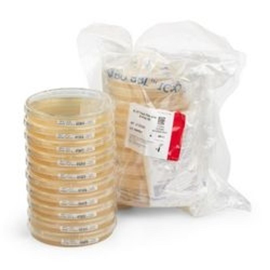 BD BBL™ IC-XT Pack Trypticase™ Soy Agar with Lecithin, Polys