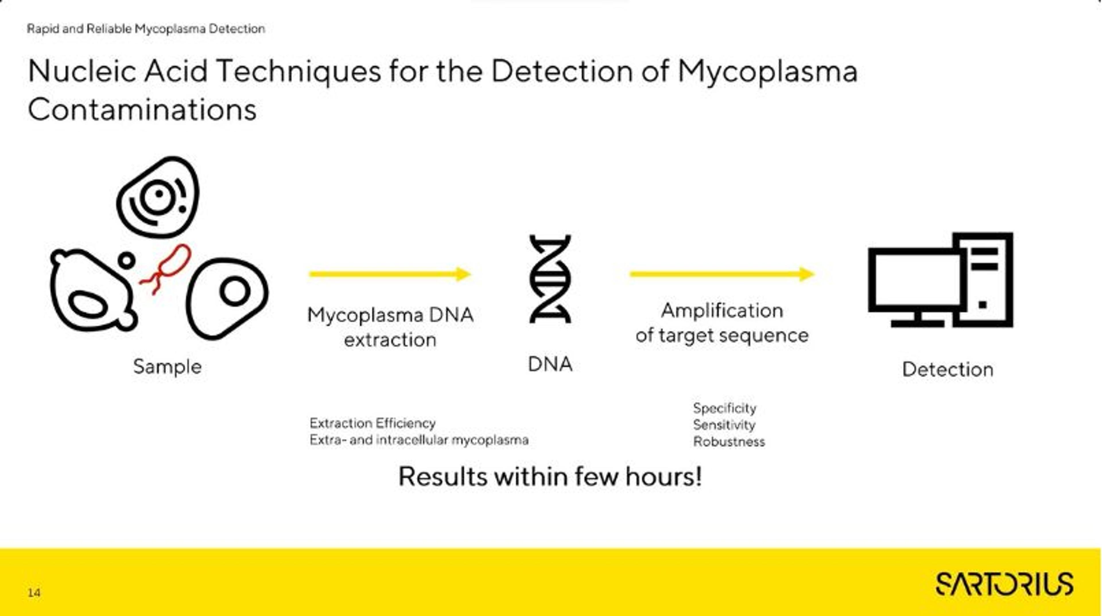 Understanding the invisible threat: Mycoplasma contamination in cell cultures Understanding the invisible threat: Mycoplasma contamination in cell cultures