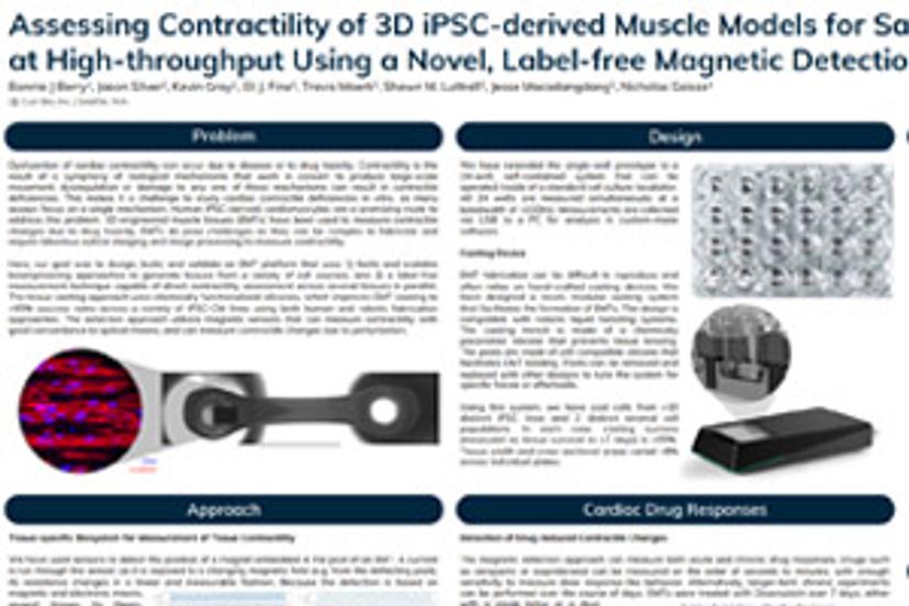 Assessing contractility of 3D iPSC-derived muscle models for safety and discovery at high-throughput using a novel, label-free magnetic detection method