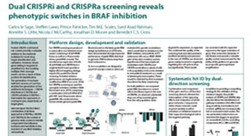 Dual CRISPR Screening