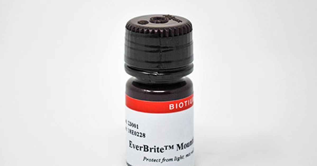 Buy EverBrite™ Mounting Medium Read Reviews
