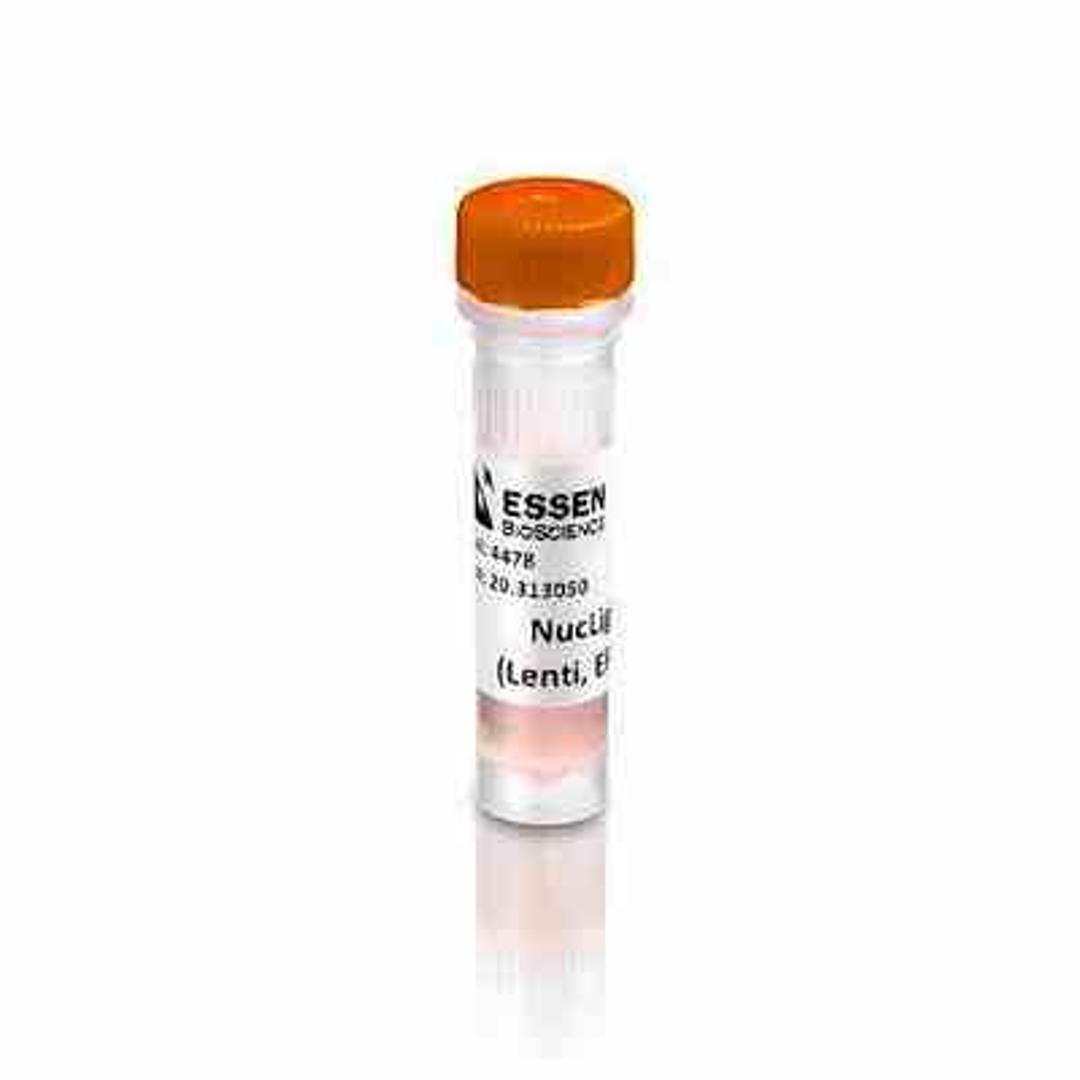 NucLight Orange Lentivirus Reagent