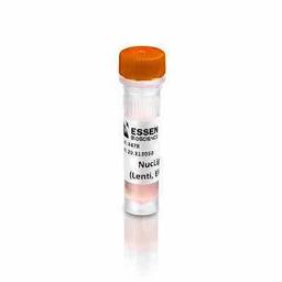 NucLight Orange Lentivirus Reagent