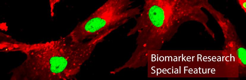 Precision Medicine SelectScience Special Feature