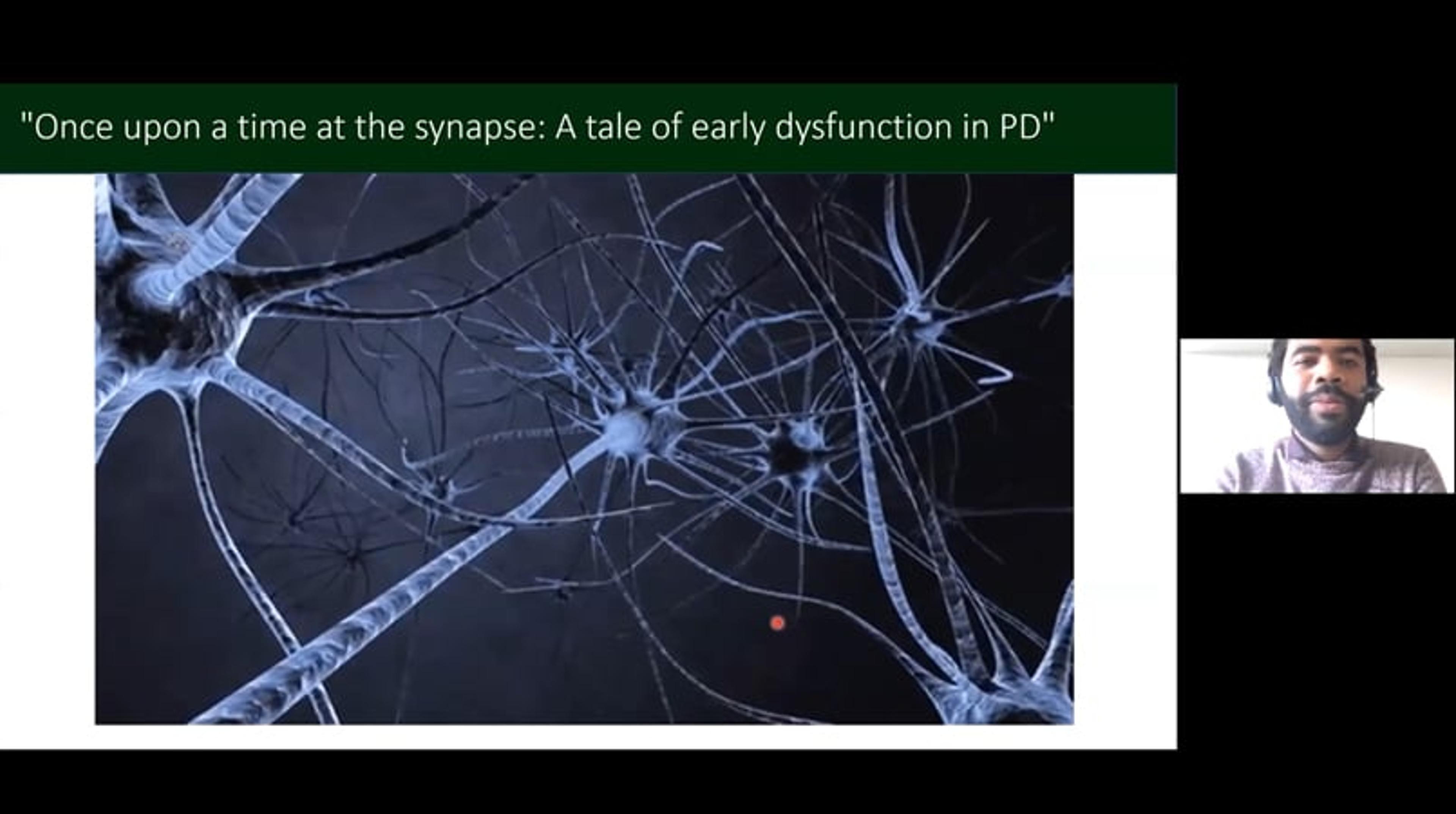 Once upon a time at the synapse: A tale of early dysfunction in PD Once upon a time at the synapse: A tale of early dysfunction in PD