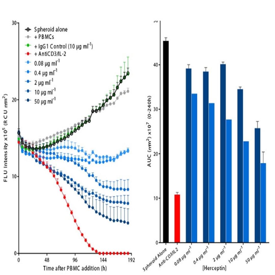 Figures 3D Immune cell Killing (measure ADCC in tumor sphero