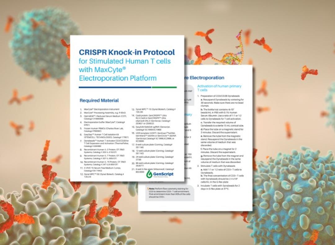 GenScript comprehensive CRISPR knock-in protocol guide