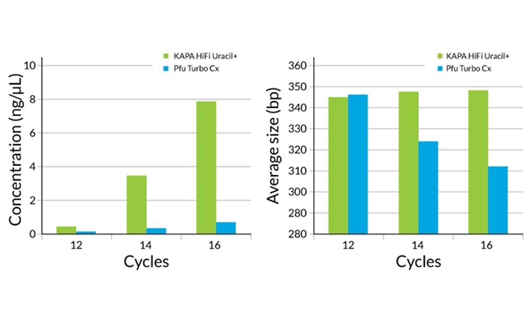 Higher yields and reduced size bias