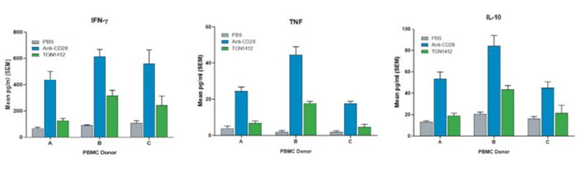 A translationally-relevant alternative to non-human primates