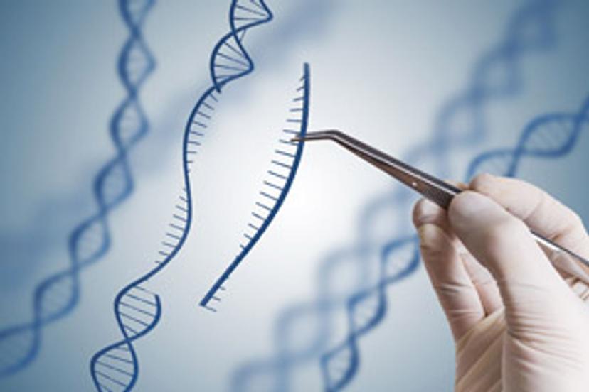 Discover the power of qPCR for genetic variation analysis