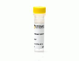 Human Recombinant Oncostatin M, ACF