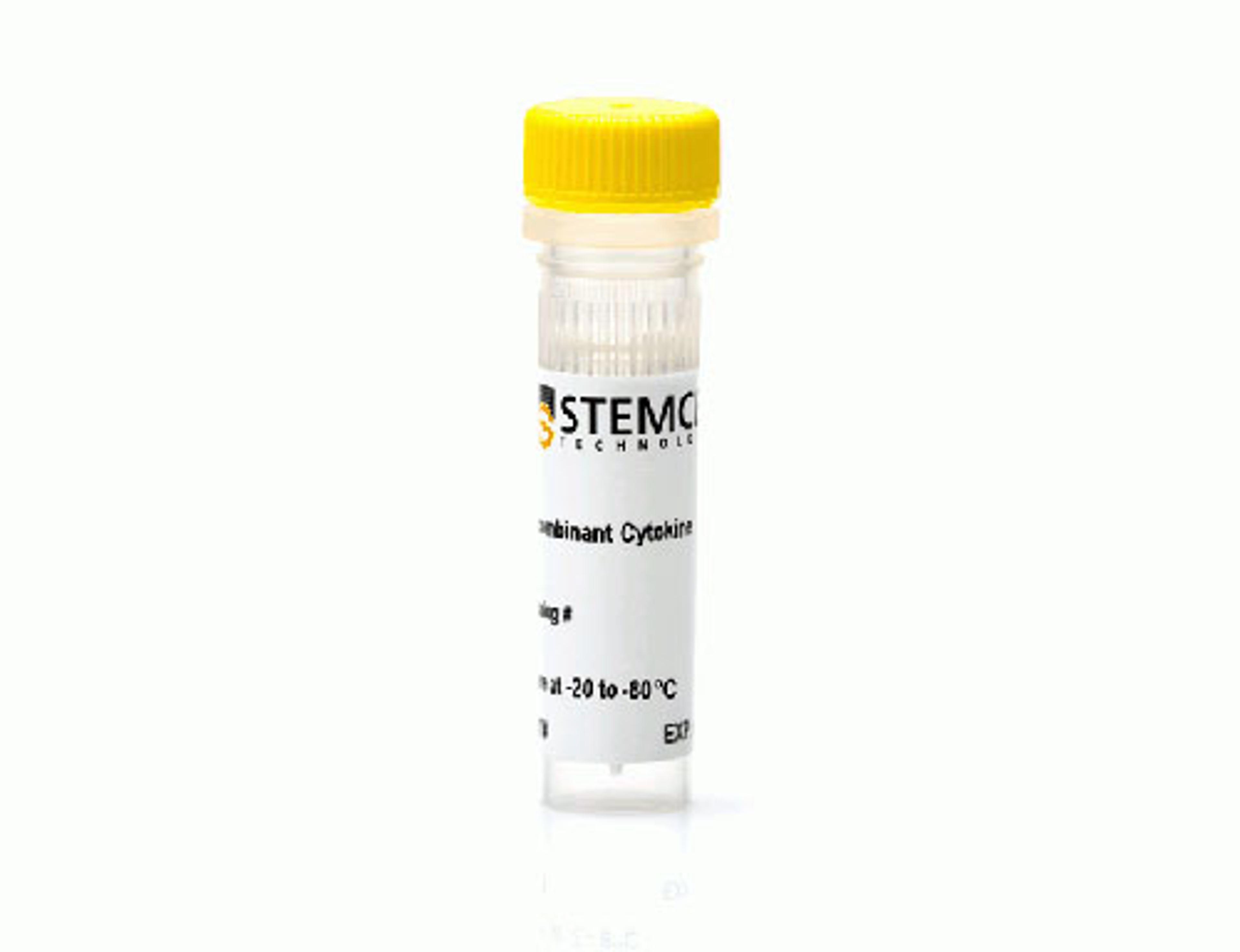 Human Recombinant Oncostatin M, ACF