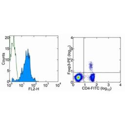 Data for Anti-Mouse/Rat Foxp3 Staining Set PE