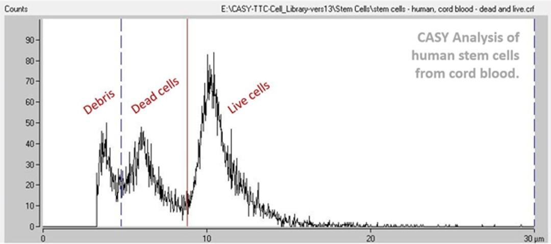 Results: Cell viability at a glance, and detailed statistics