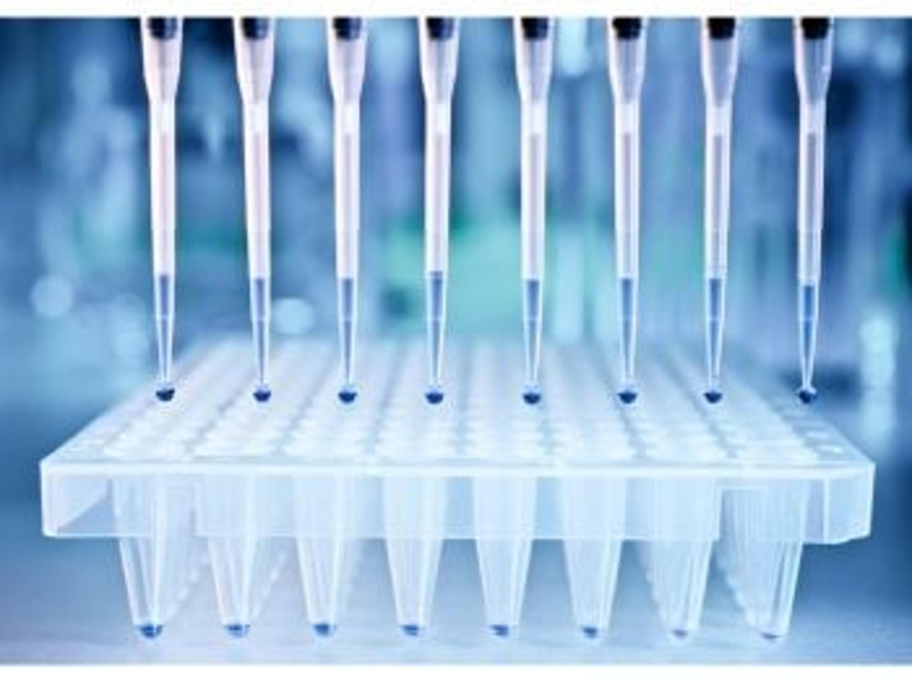Oligonucleotide Purification and Quantification Technology