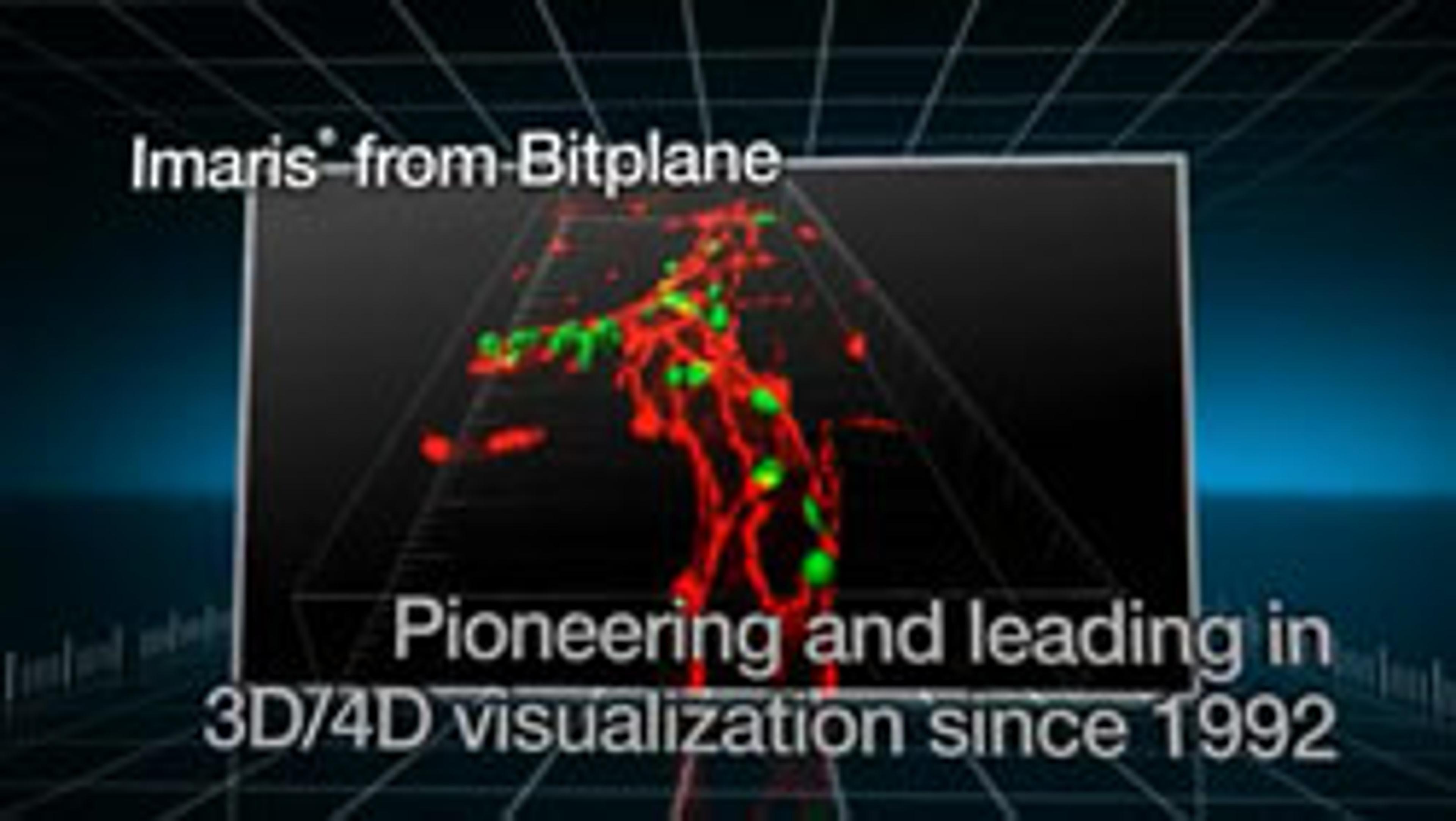 3D and 4D Interactive Data Visualization with Bitplane's Imaris Imaging Software for Life Sciences 3D and 4D Interactive Data Visualization with Bitplane's Imaris Imaging Software for Life Sciences