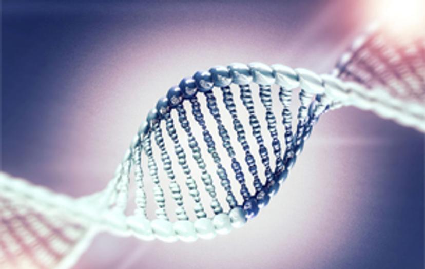 Optimizing LC/MS analysis of oligonucleotides