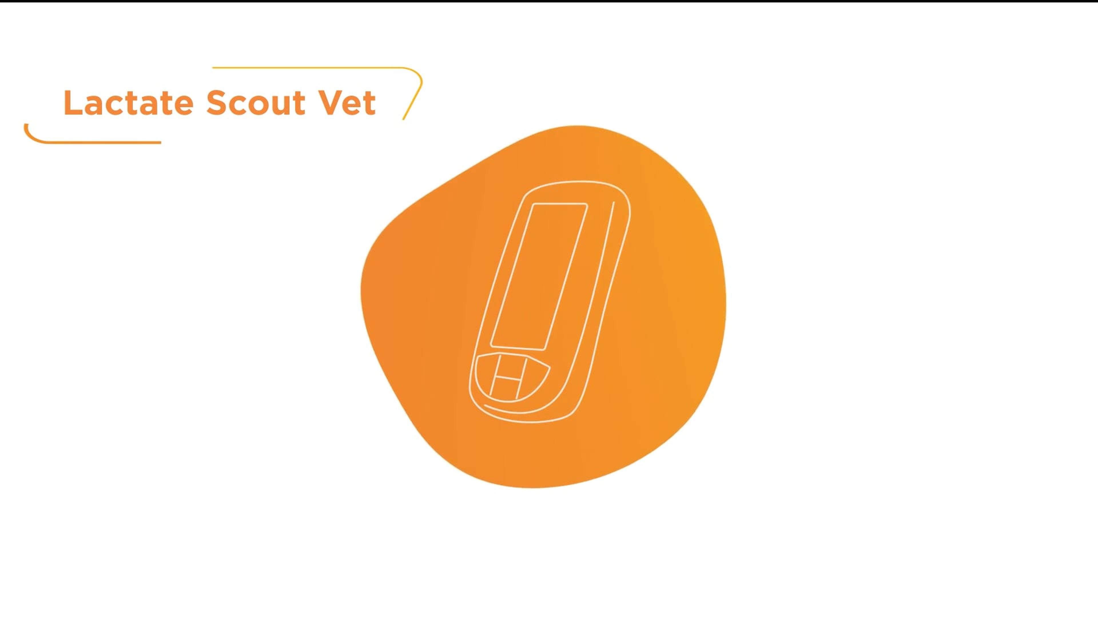 Lactate Scout Vet analyzer Lactate Scout Vet analyzer