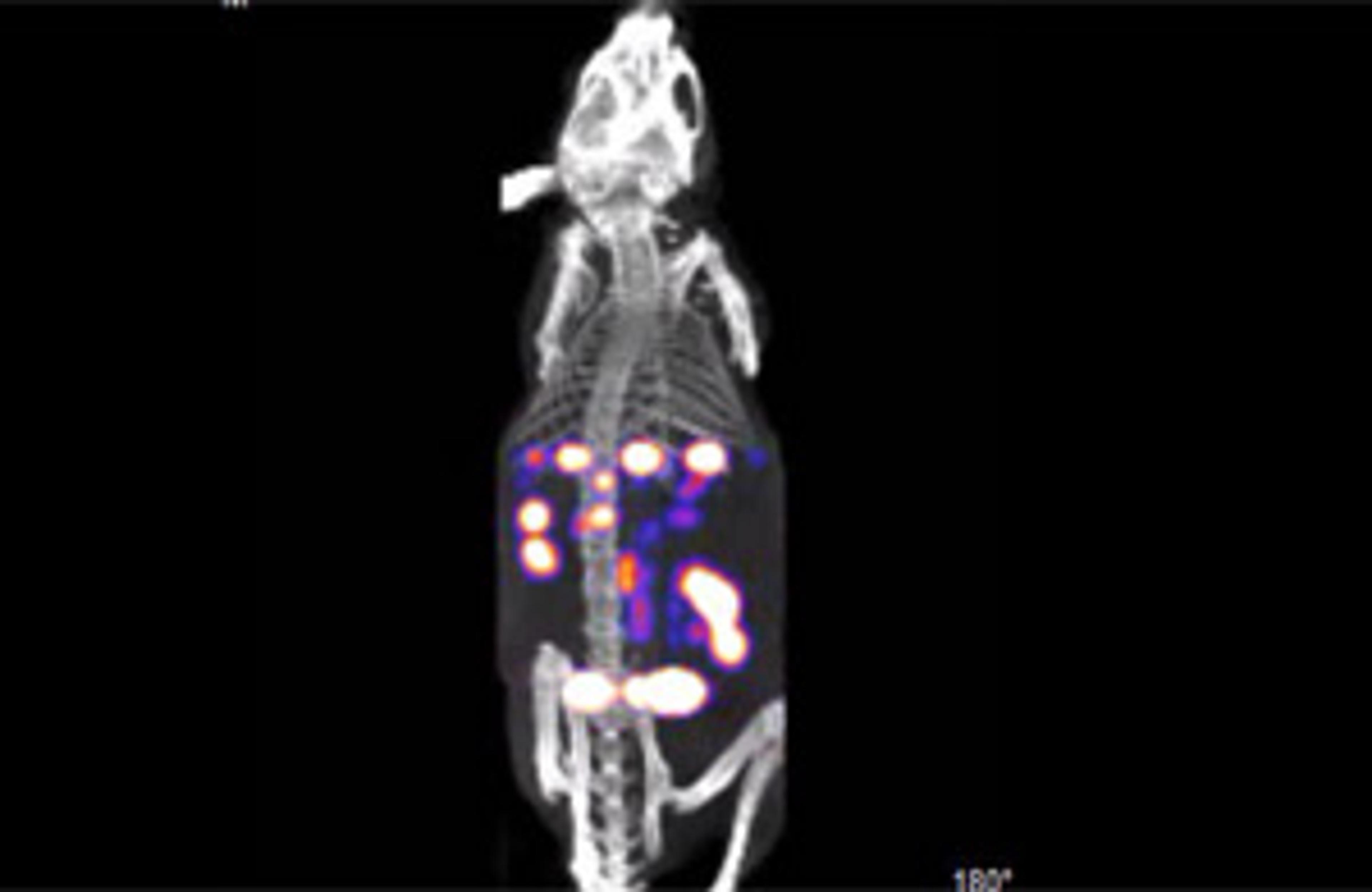 BioFLECT™ In Vivo Preclinical Imager BioFLECT™ In Vivo Preclinical Imager