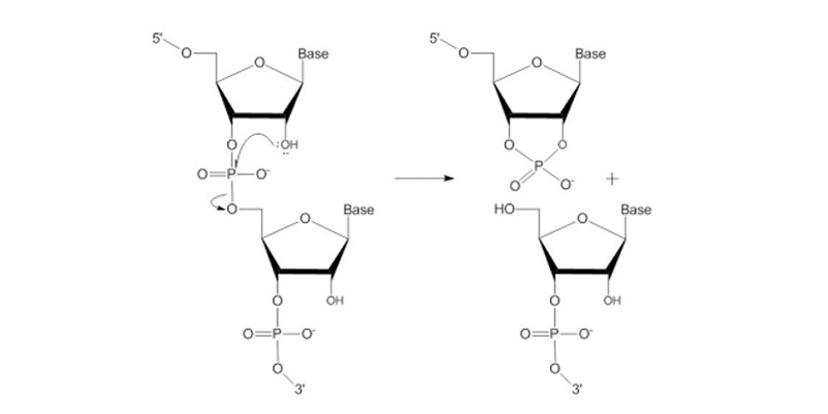 Example of an annealing reaction.