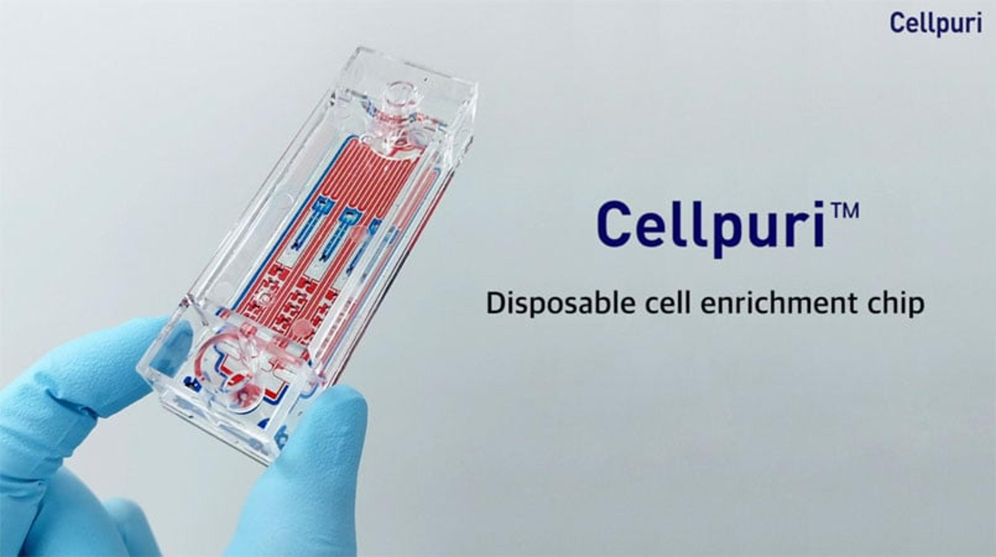 How to use Cellpuri from Curiosis How to use Cellpuri from Curiosis