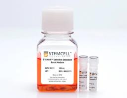 STEMdiff Definitive Endoderm Kit