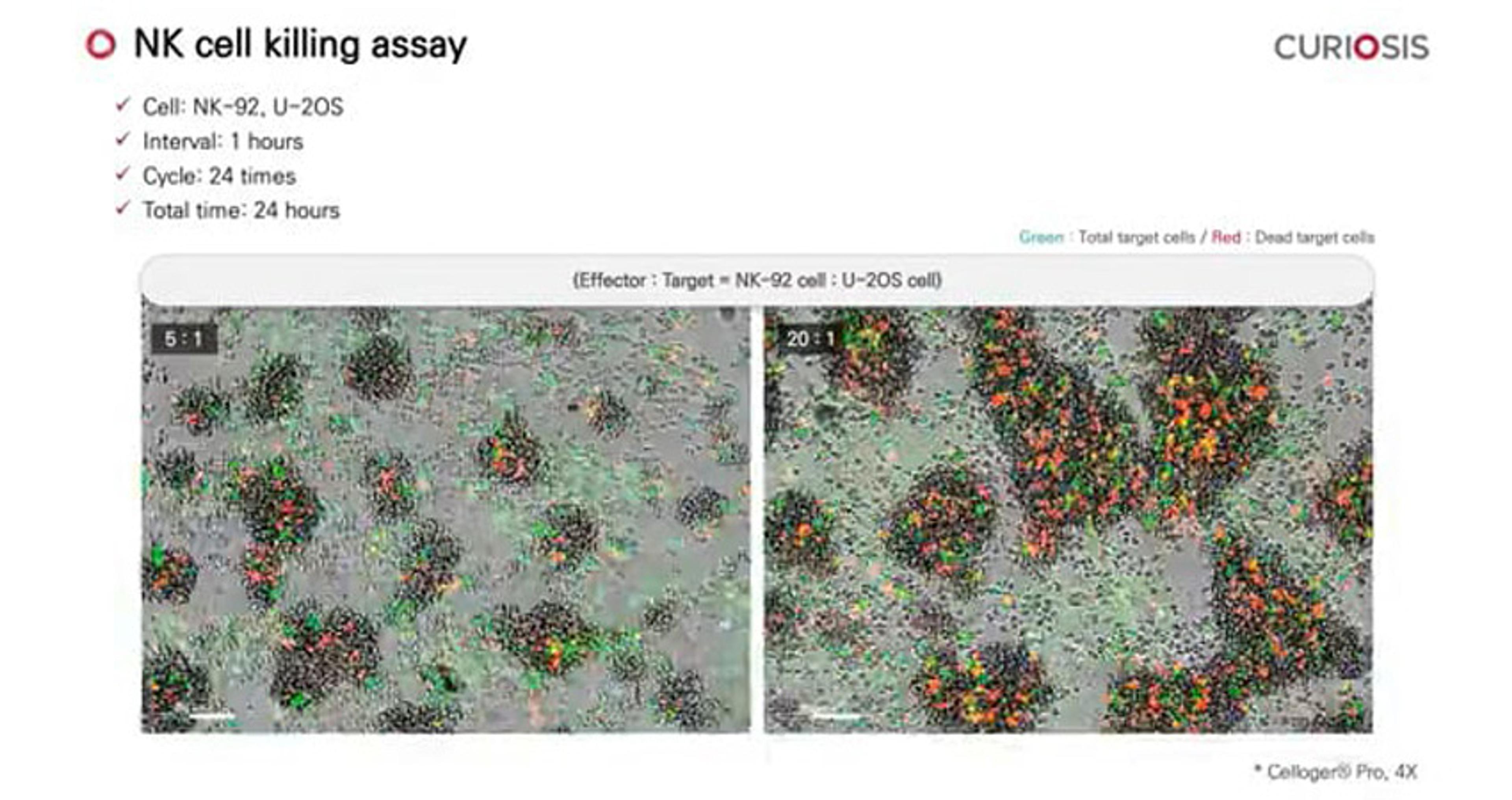 Celloger Pro application: NK cell killing assay Celloger Pro application: NK cell killing assay