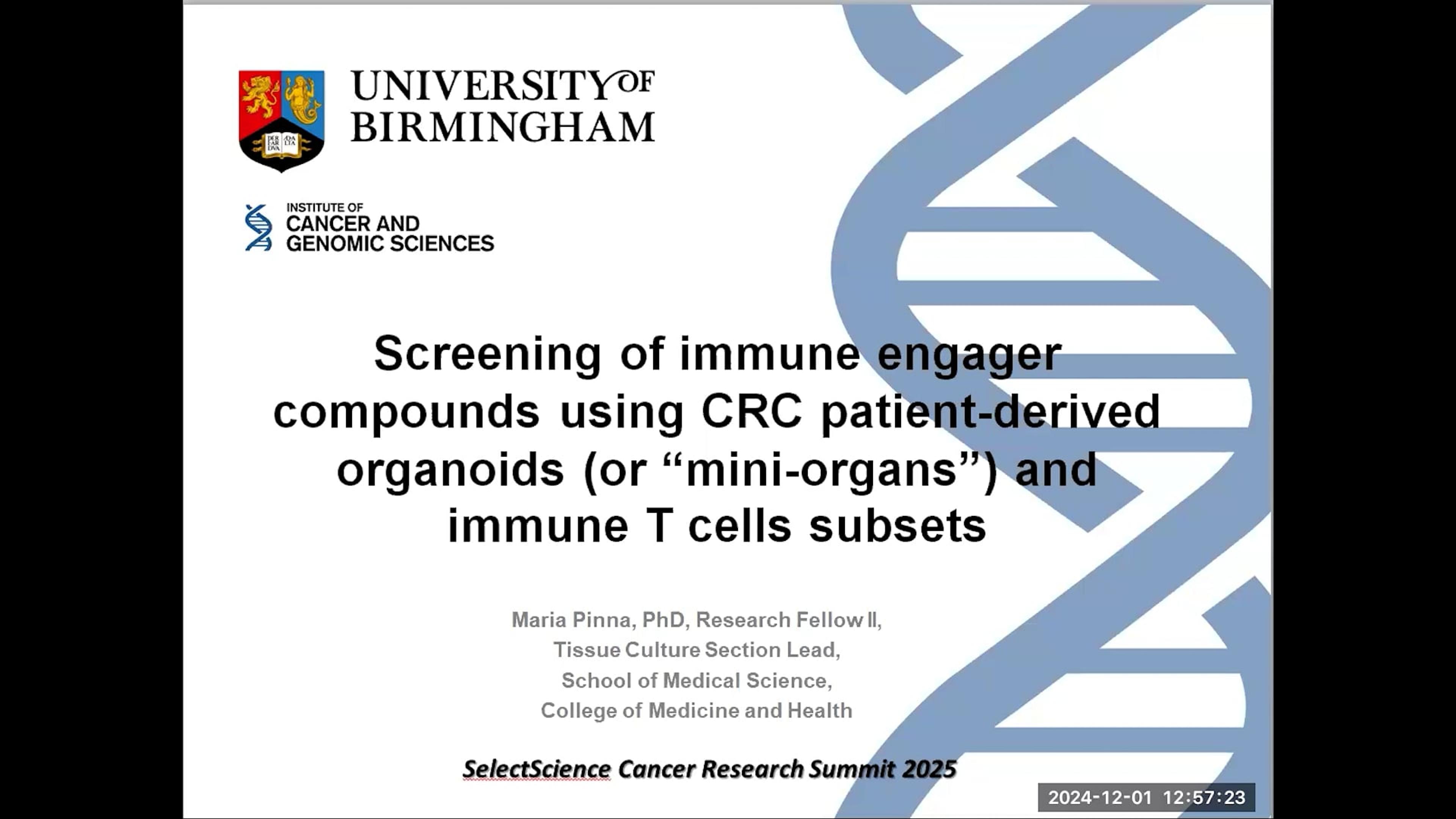 Screening of immune engager compounds using CRC patient-derived organoids (or “mini-organs”) and immune T cells subsets Screening of immune engager compounds using CRC patient-derived organoids (or “mini-organs”) and immune T cells subsets