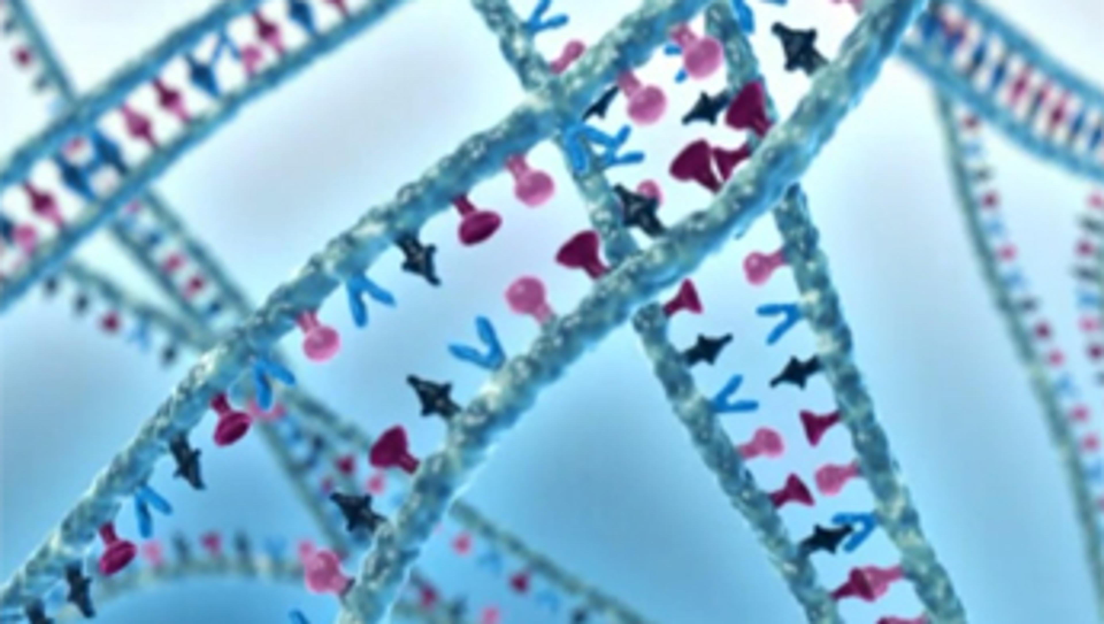 Watch QIAGEN's Unique PCR Buffer in Action Watch QIAGEN's Unique PCR Buffer in Action
