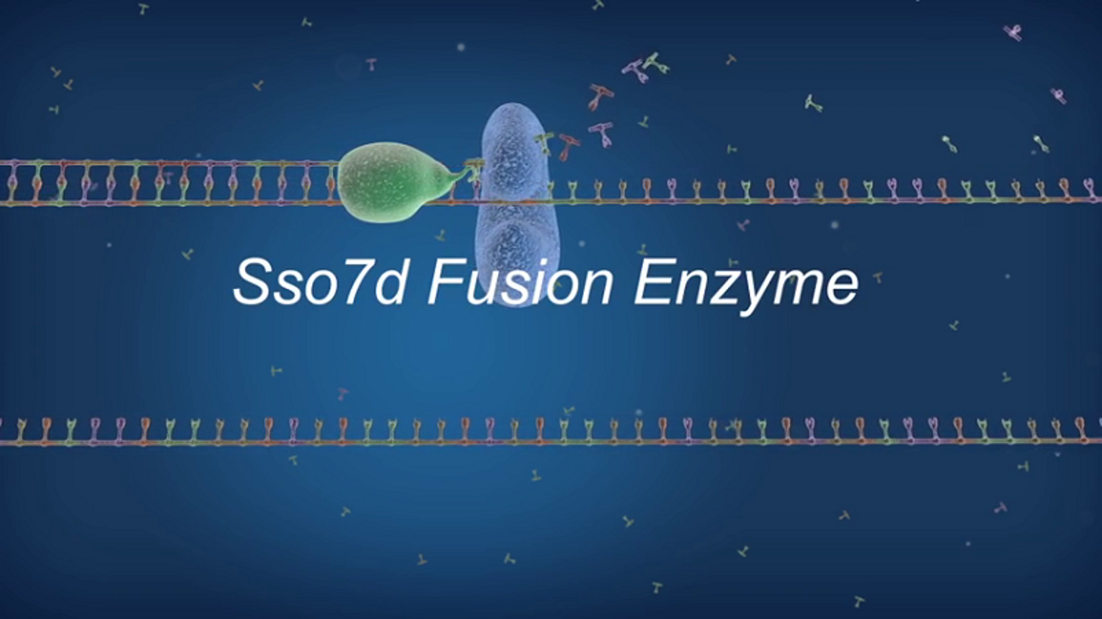 Improve your qPCR Results with High Processivity Sso7d Fusion Polymerase from Bio-Rad Improve your qPCR Results with High Processivity Sso7d Fusion Polymerase from Bio-Rad
