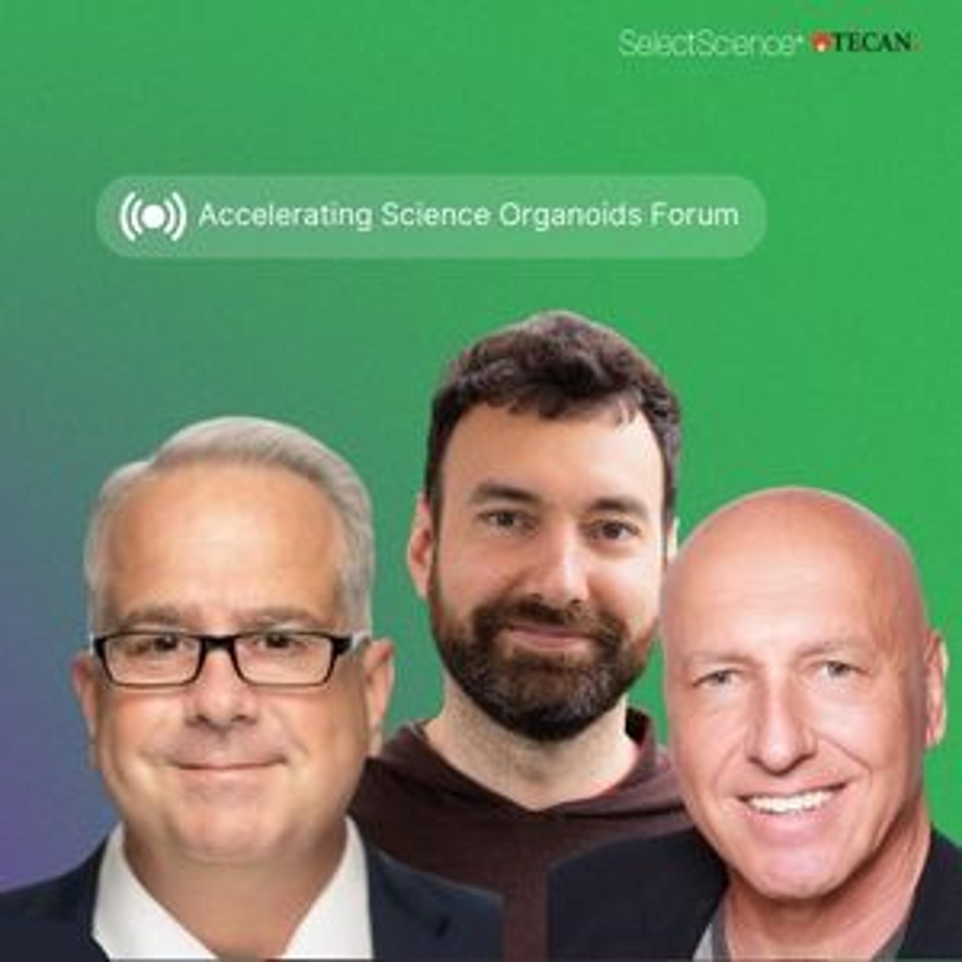 Mini organs, big breakthroughs image