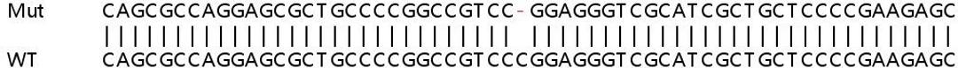 Sanger Seq - EGFR knockout HeLa