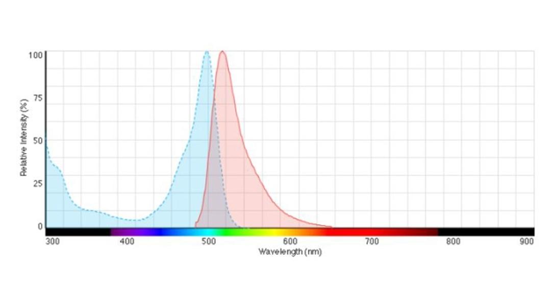 Ex/Em spectra for CellTrace™ CFSE dye.