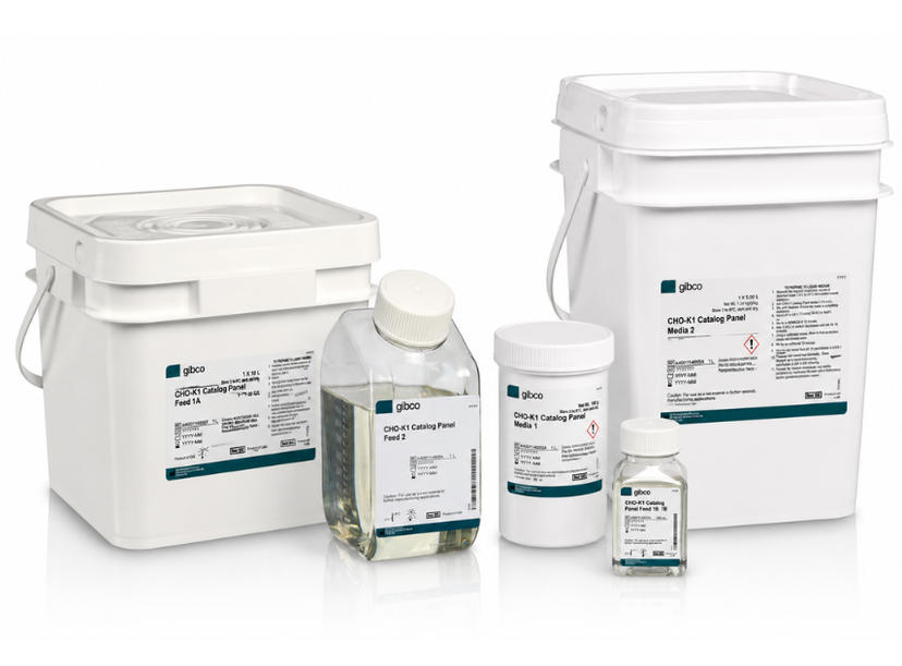 Gibco™ CHO-K1 Catalog Panel Media and Feed to accelerate biologics development