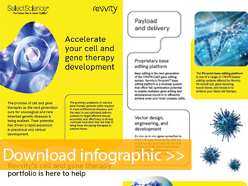 Preview of the accelerate your cell and gene therapy development infographic