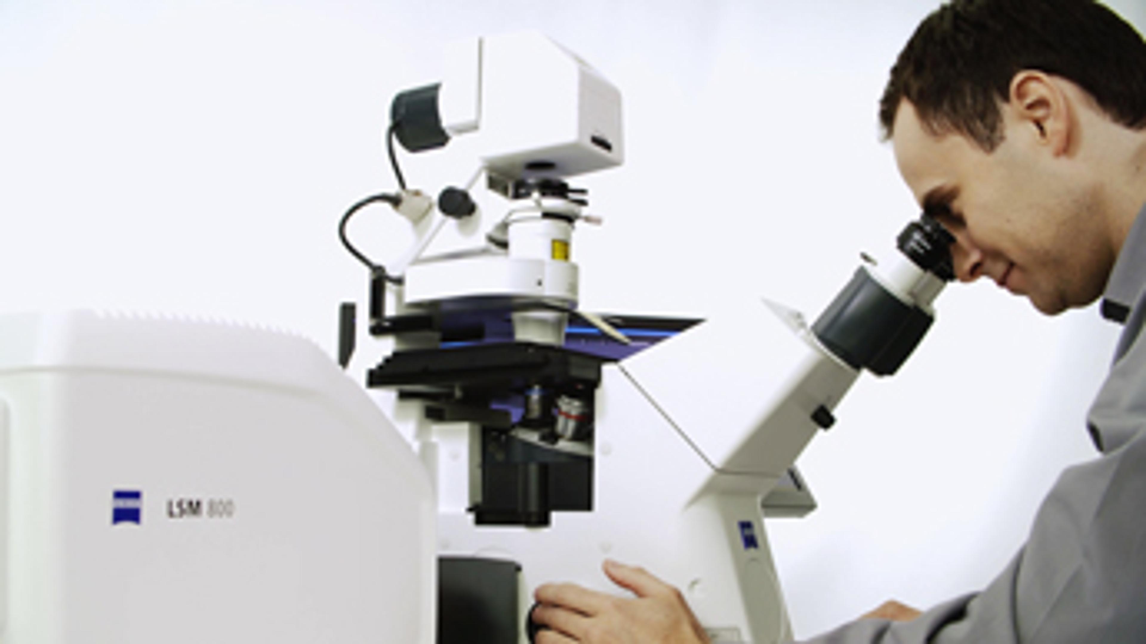 Introducing the LSM 800 with Airyscan from ZEISS Introducing the LSM 800 with Airyscan from ZEISS