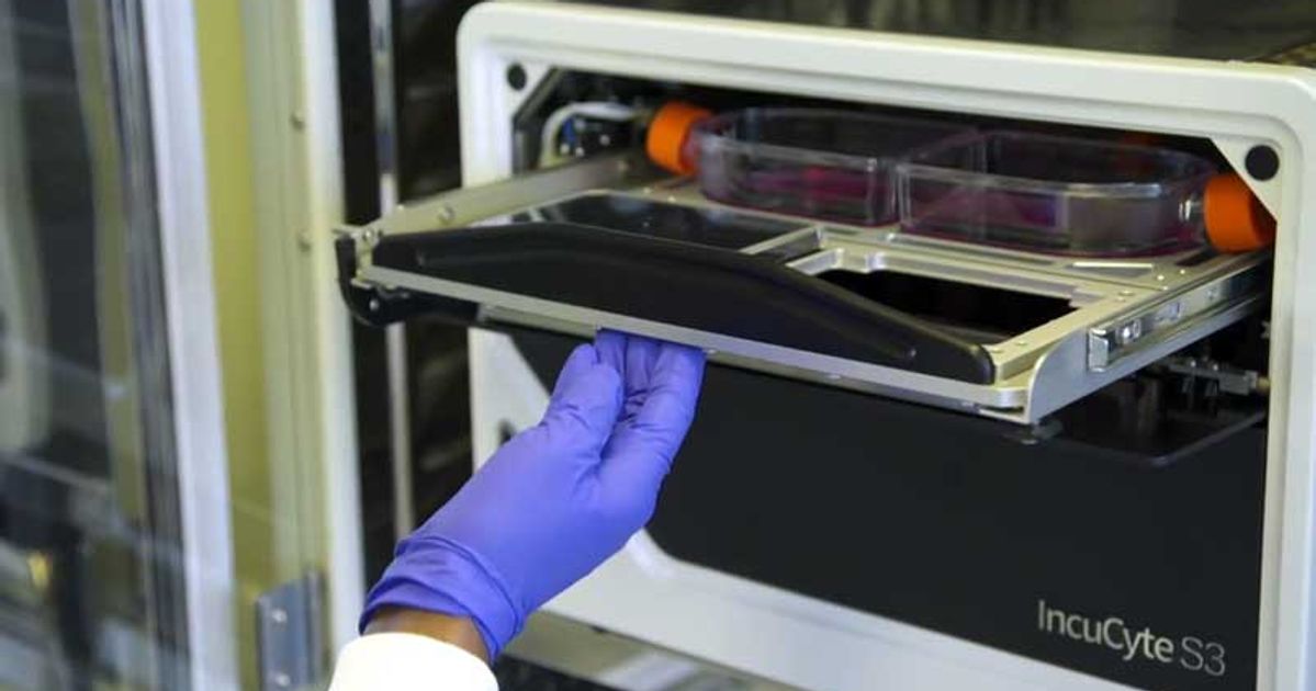 introducing-the-incucyte-s3-live-cell-analysis-system