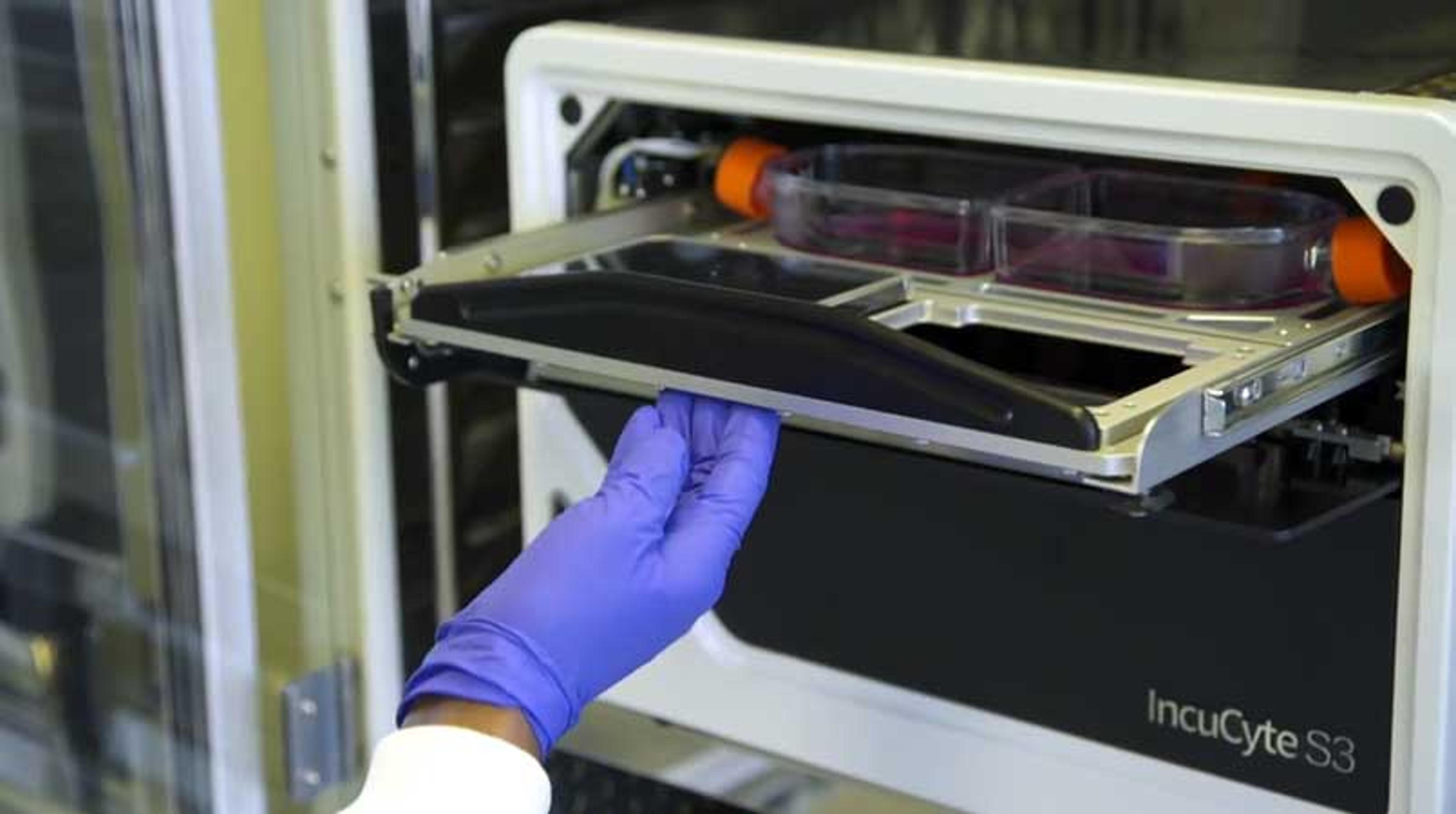 Introducing the IncuCyte® S3 Live-Cell Analysis System Introducing the IncuCyte® S3 Live-Cell Analysis System