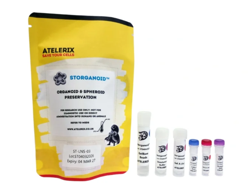 STORganoid™, an ambient-temperature preservation solution