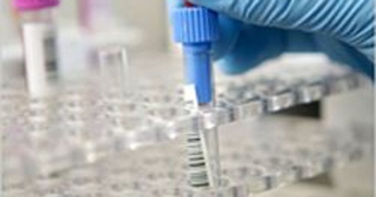 TypeSafe Segment Sampling Device