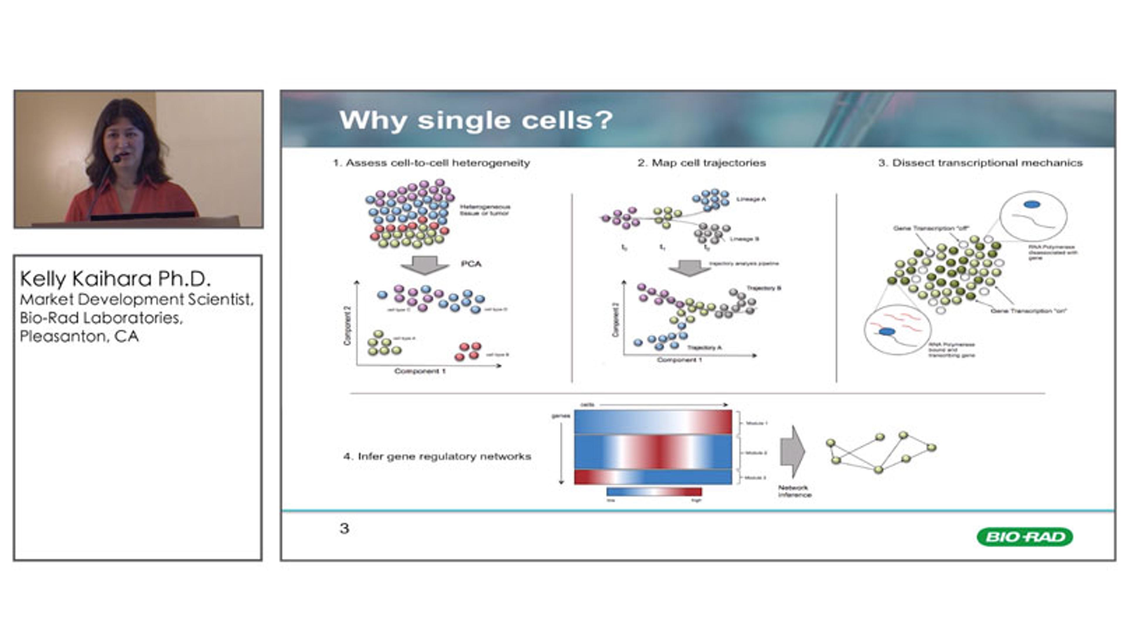 Single-Cell Analysis of Adult Neurons Using ddSEQ for Characterization of Neuronal Subtype Single-Cell Analysis of Adult Neurons Using ddSEQ for Characterization of Neuronal Subtype