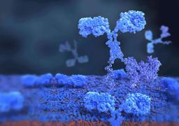 One-Stop Allogeneic Cell Therapy Development Solutions