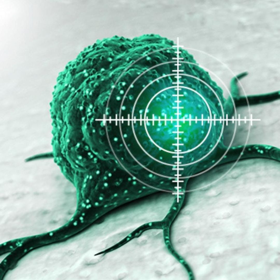 5-Target Proteins