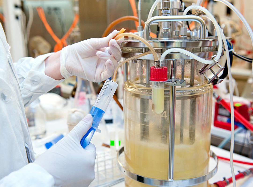 Protein Expression and Purification Services