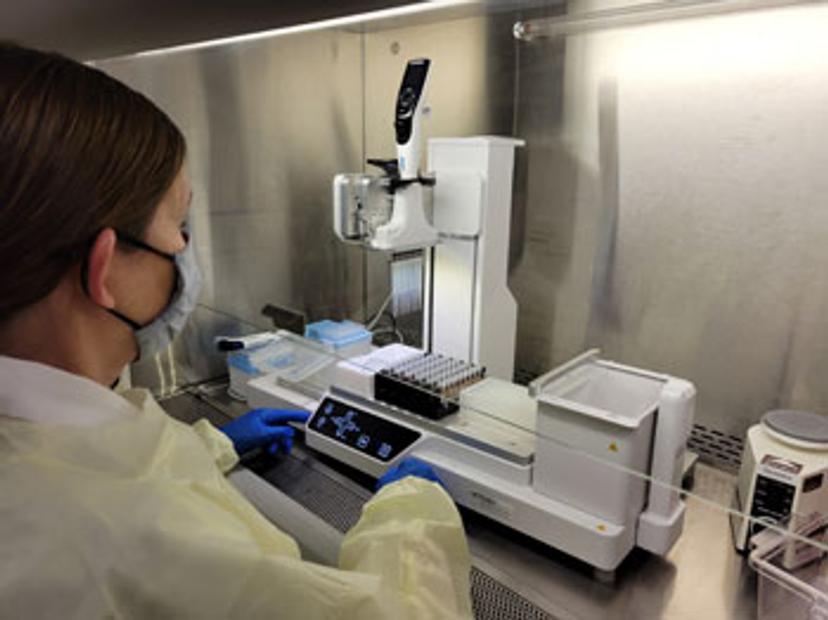 Sample pooling for arbovirus with the ASSIST PLUS pipetting robot