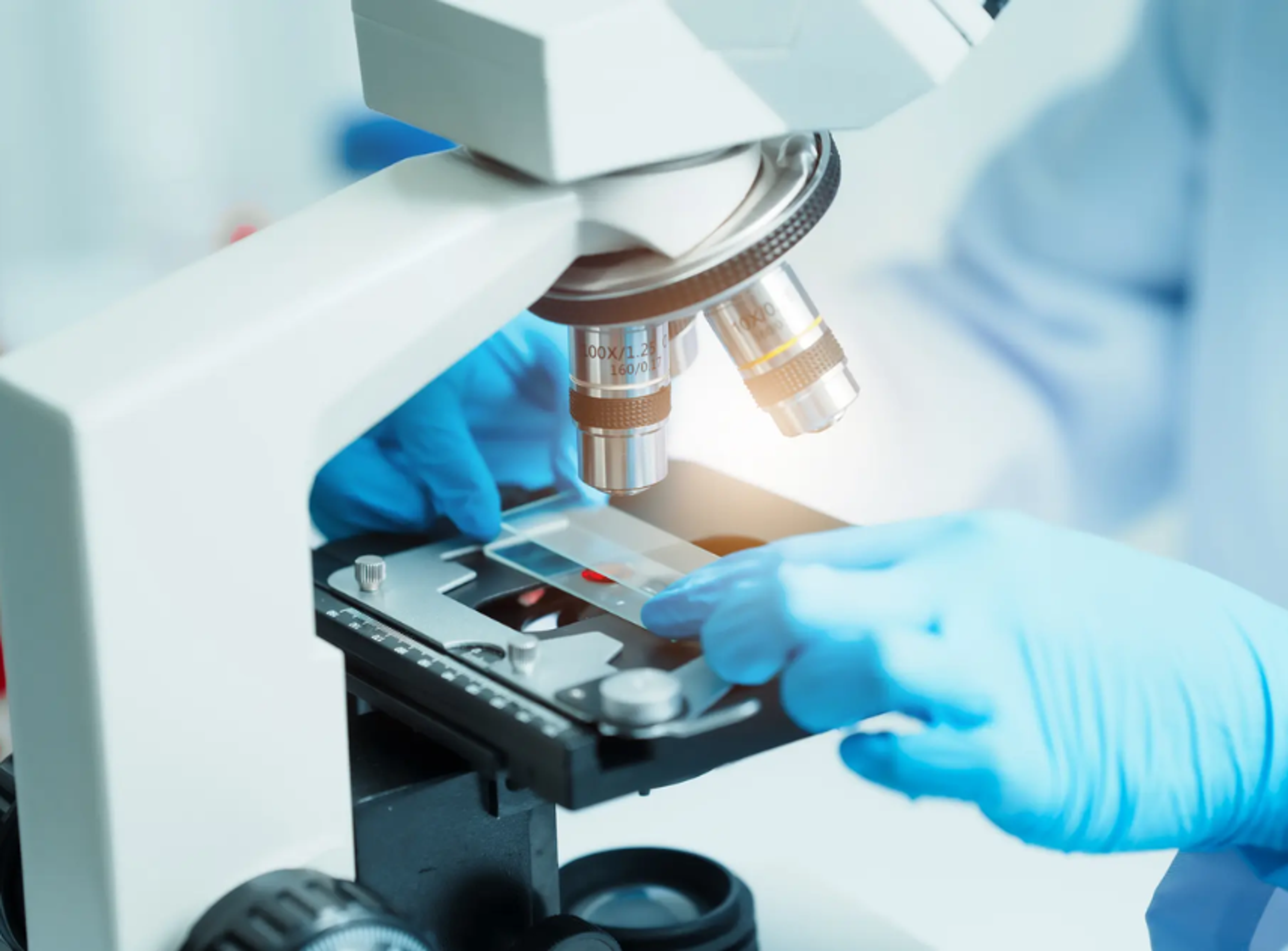 How to Buy Microscopy Equipment & Reagents