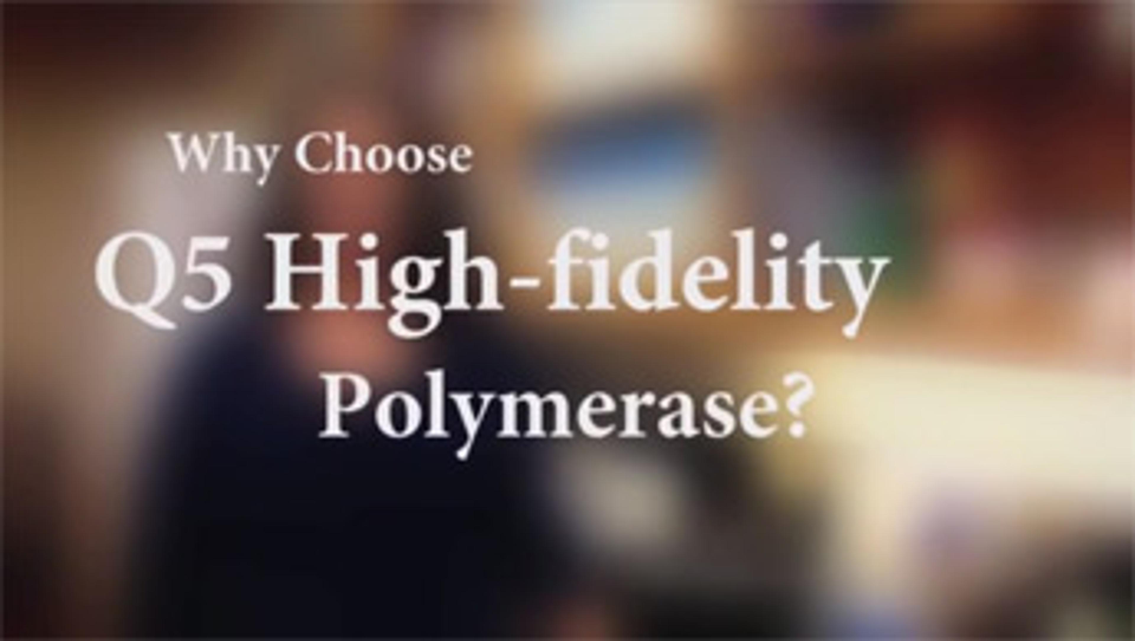Q5® High-Fidelity DNA Polymerase from New England Biolabs Q5® High-Fidelity DNA Polymerase from New England Biolabs