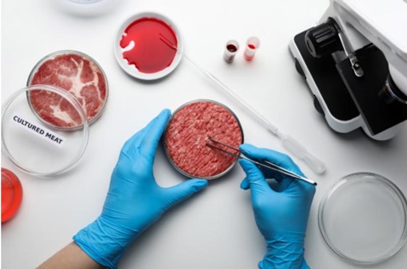 Image of cultured meat - meat grown in a laboratory using stem cell technology that mimics the texture, flavor, and nutritional value of conventional meat. 