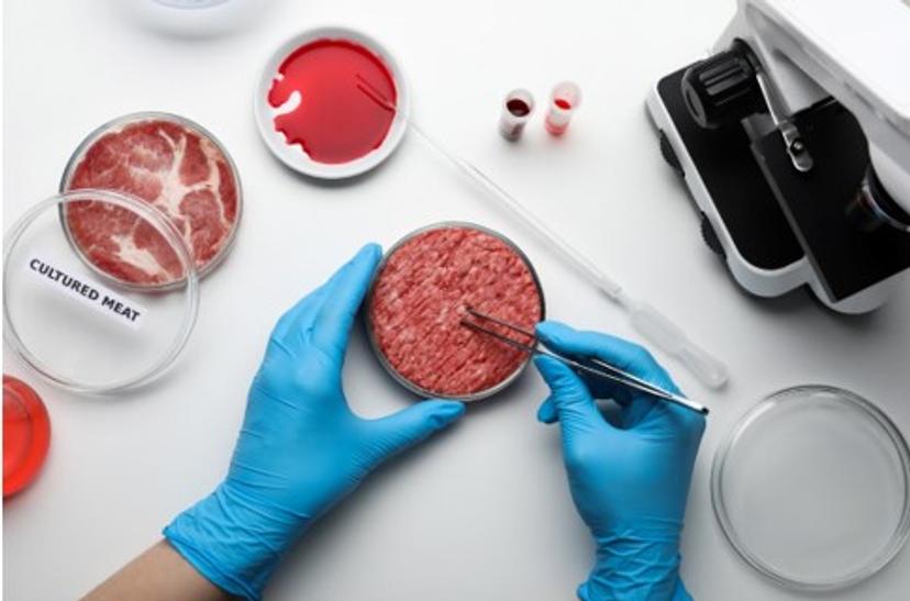 Image of cultured meat - meat grown in a laboratory using stem cell technology that mimics the texture, flavor, and nutritional value of conventional meat.